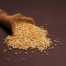 Sorghum_Jowar