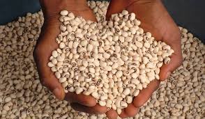 Cow Pea_Lobia_Chawli
